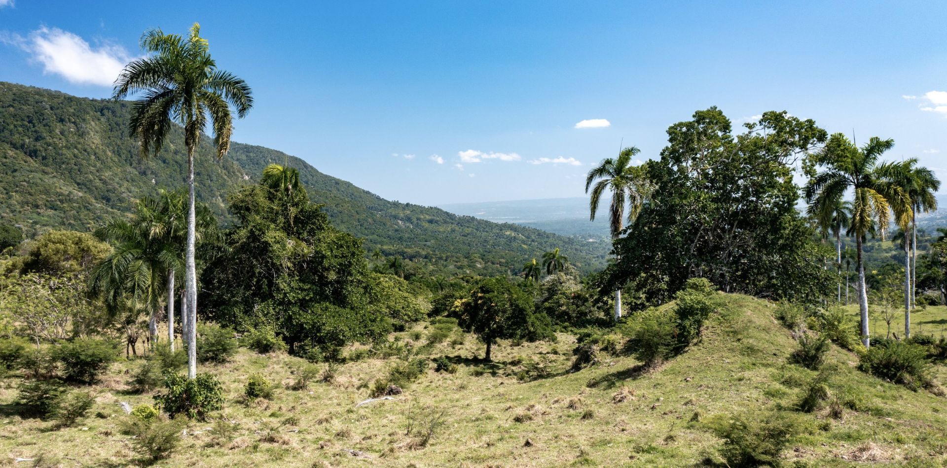 Terreno en el Cupey con vistas increíbles